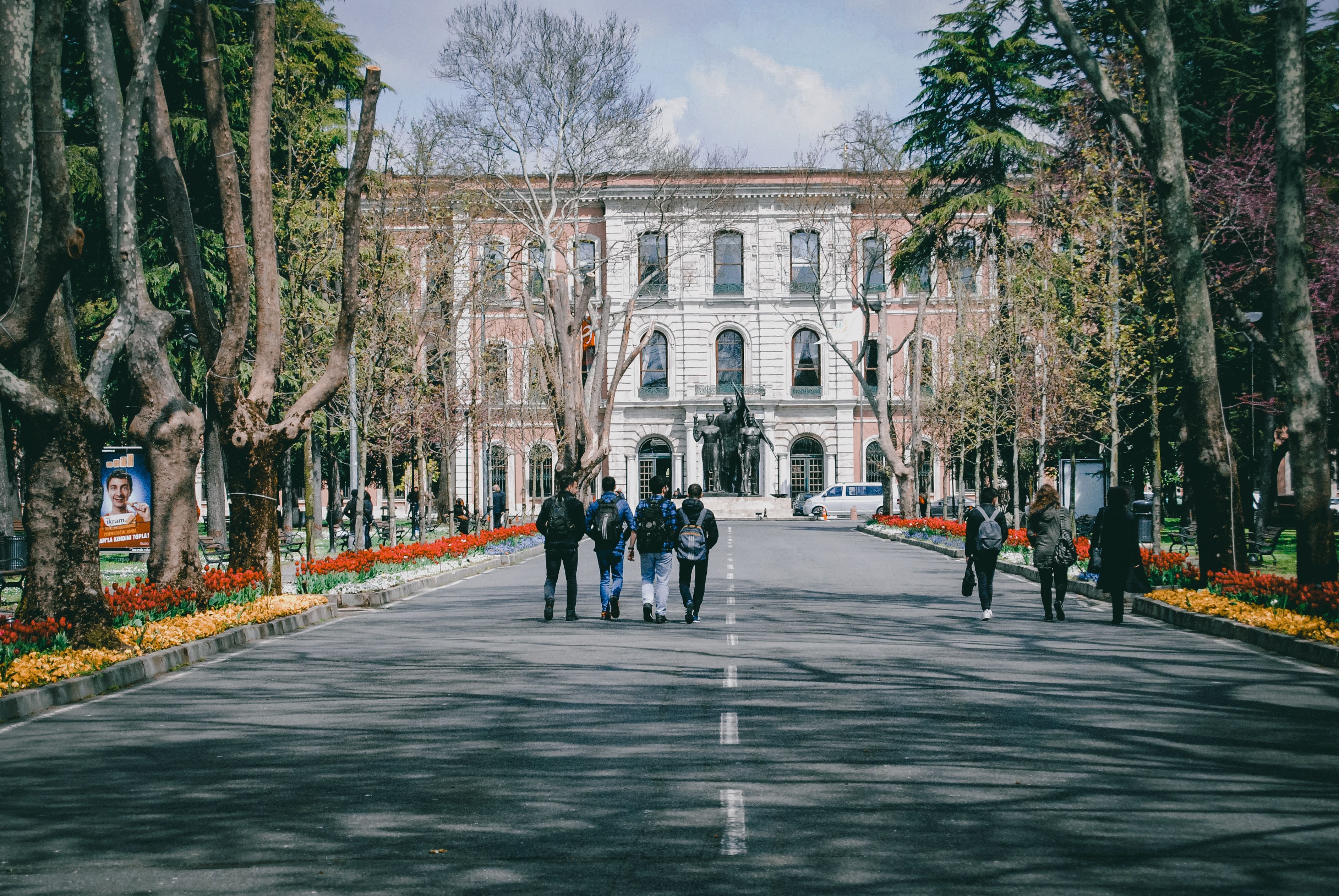 Students walking together through a tree-lined university campus